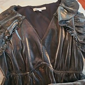 DR2 Shiny Silver Blouse